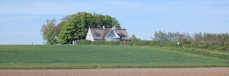 Engelsk på Studieskolen